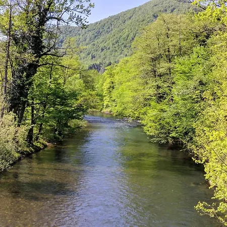 Viktorija Bed and Breakfast Brod na Kupi