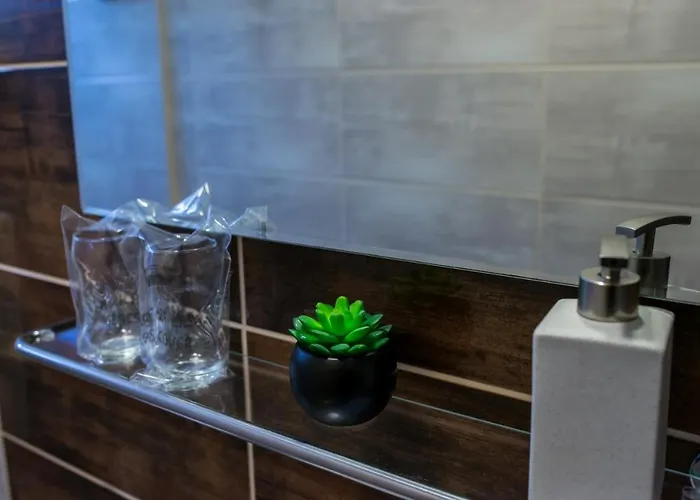 Alojamento de Acomodação e Pequeno-almoço Viktorija